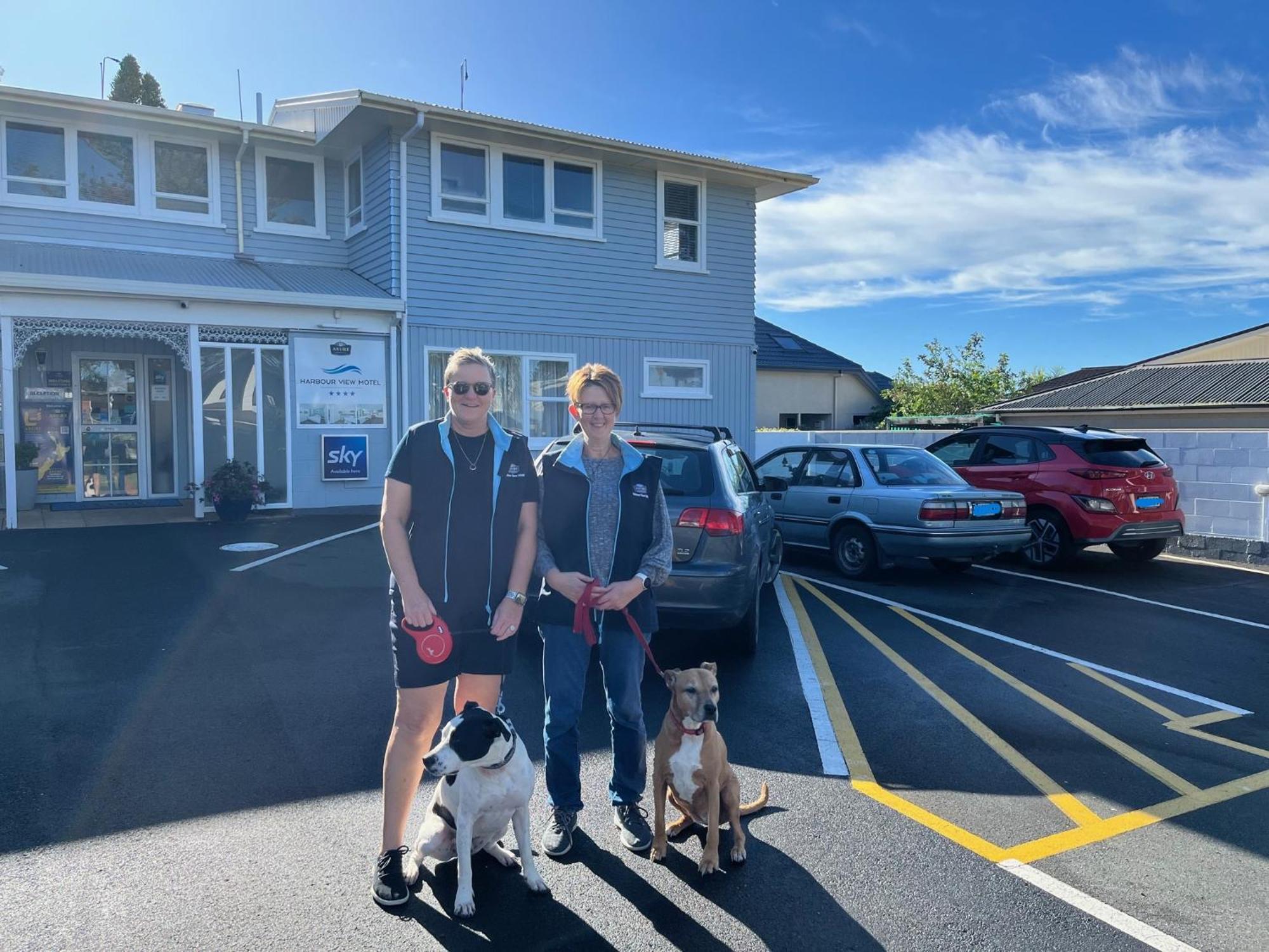 Harbour View Motel And Waterfront Apartments Tauranga Eksteriør bilde